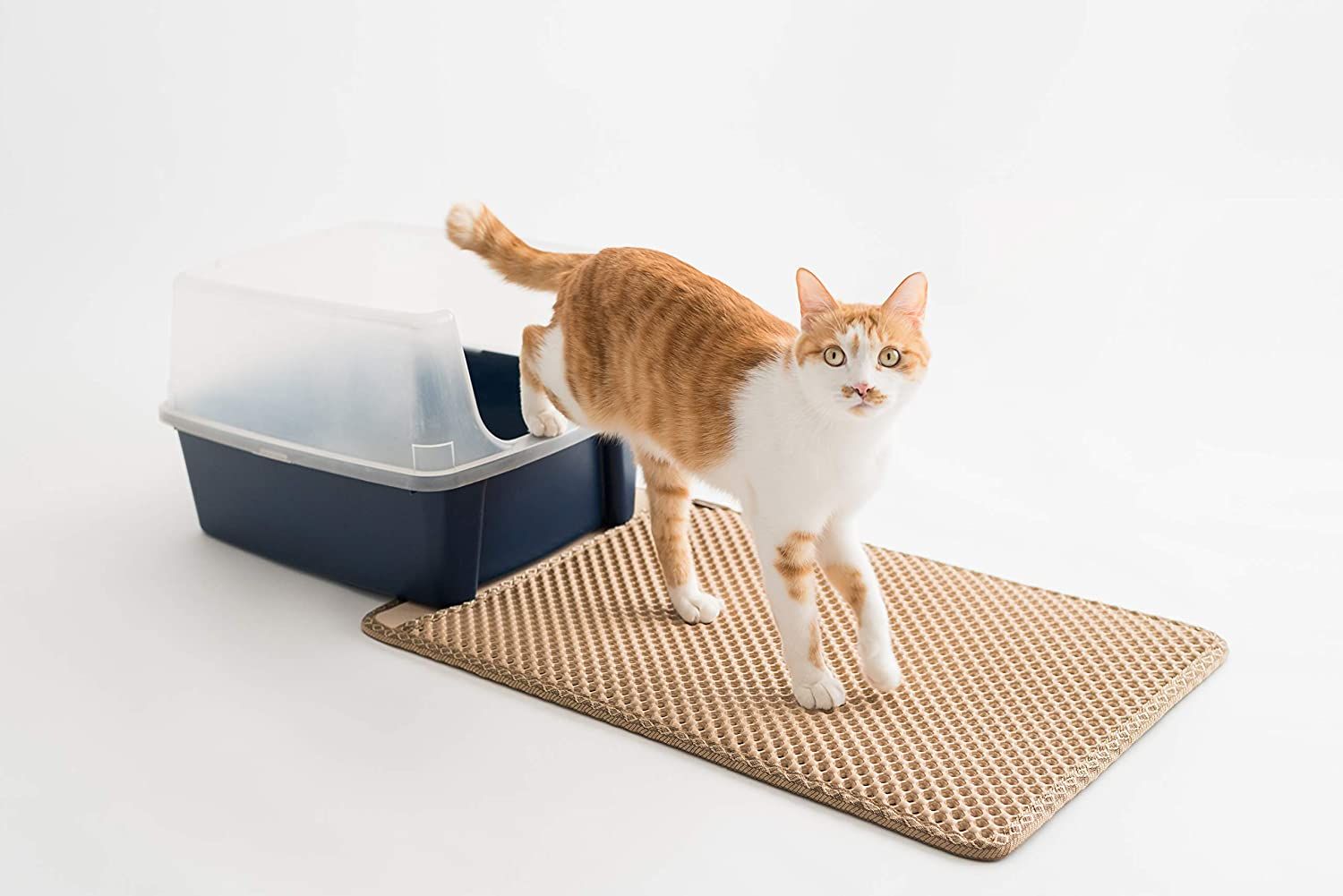 Shop Pet Potty Training Supplies