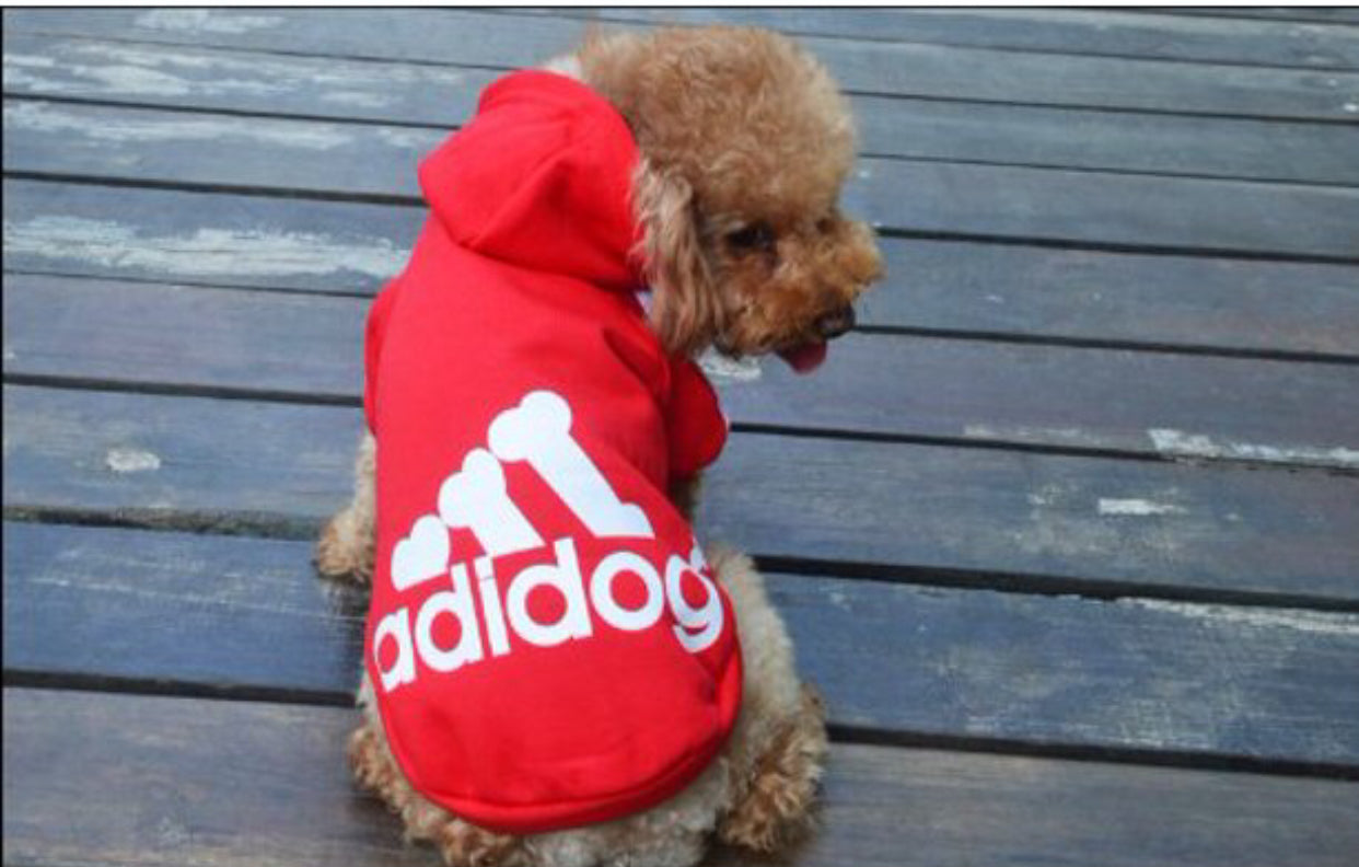 Shop Pet Clothes & Accessories