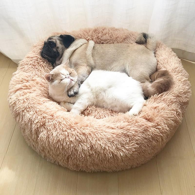 Shop Pet Beds