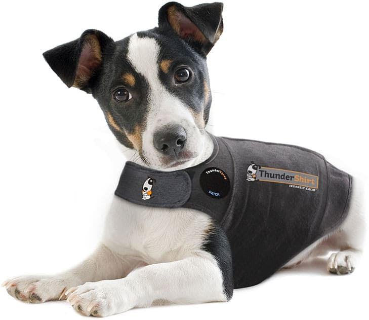 Shop Dog Anxiety Vests & Treatments