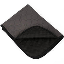 Load image into Gallery viewer, Anti-slip Washable Pet Urine Pad / Mat Reusable For Puppy Training
