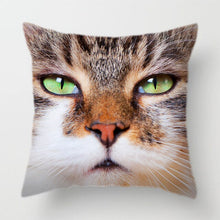 Load image into Gallery viewer, Cute Pet Cat Face Decorative Animal Cushion Cover Sofa Vintage Black and White Home Couch Pillows Case Living Room Decoration
