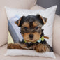 Cute Animal Cushion Cover MINI Yorkshire Dog Soft Plush Pillowcase Decor