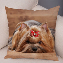 Load image into Gallery viewer, Cute Animal Cushion Cover MINI Yorkshire Dog Soft Plush Pillowcase Decor

