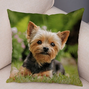 Cute Animal Cushion Cover MINI Yorkshire Dog Soft Plush Pillowcase Decor