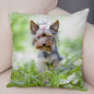 Cute Animal Cushion Cover MINI Yorkshire Dog Soft Plush Pillowcase Decor