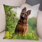 German Shepherd Dog Pillow Case Covers Decor Pet Animal Cushion Cover for Sofa Home Super Soft Short Plush Pillowcase 45*45cm