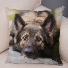 Load image into Gallery viewer, German Shepherd Dog Pillow Case Covers Decor Pet Animal Cushion Cover for Sofa Home Super Soft Short Plush Pillowcase 45*45cm
