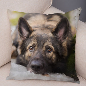 German Shepherd Dog Pillow Case Covers Decor Pet Animal Cushion Cover for Sofa Home Super Soft Short Plush Pillowcase 45*45cm