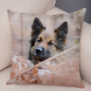 German Shepherd Dog Pillow Case Covers Decor Pet Animal Cushion Cover for Sofa Home Super Soft Short Plush Pillowcase 45*45cm
