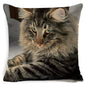 Black Cat Cushion Cover Cotton Linen Square Pillowcase Decorative Pillow