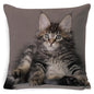 Black Cat Cushion Cover Cotton Linen Square Pillowcase Decorative Pillow