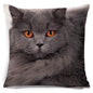Black Cat Cushion Cover Cotton Linen Square Pillowcase Decorative Pillow