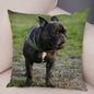 MINI French Bulldog Pillow Case for Home Sofa Car Soft Plush Decor Cute Pet Animal Dog Cushion Cover Printed Pillowcase 45x45cm