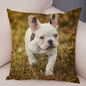 MINI French Bulldog Pillow Case for Home Sofa Car Soft Plush Decor Cute Pet Animal Dog Cushion Cover Printed Pillowcase 45x45cm
