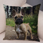 MINI French Bulldog Pillow Case for Home Sofa Car Soft Plush Decor Cute Pet Animal Dog Cushion Cover Printed Pillowcase 45x45cm
