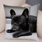 MINI French Bulldog Pillow Case for Home Sofa Car Soft Plush Decor Cute Pet Animal Dog Cushion Cover Printed Pillowcase 45x45cm