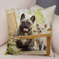 MINI French Bulldog Pillow Case for Home Sofa Car Soft Plush Decor Cute Pet Animal Dog Cushion Cover Printed Pillowcase 45x45cm