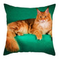 Fuwatacchi Cute Cats Pillowcases Anilmals Pattern Throw Pillow Covers for Home Sofa Polyester Decorative  Cushion Cover 45*45cm