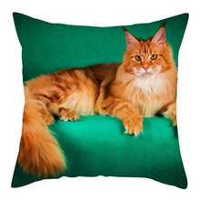 Load image into Gallery viewer, Fuwatacchi Cute Cats Pillowcases Anilmals Pattern Throw Pillow Covers for Home Sofa Polyester Decorative  Cushion Cover 45*45cm
