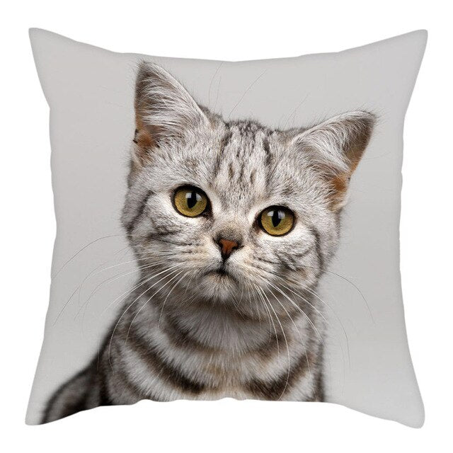 Fuwatacchi Cute Cats Pillowcases Anilmals Pattern Throw Pillow Covers for Home Sofa Polyester Decorative  Cushion Cover 45*45cm