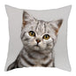 Fuwatacchi Cute Cats Pillowcases Anilmals Pattern Throw Pillow Covers for Home Sofa Polyester Decorative  Cushion Cover 45*45cm