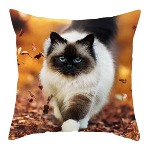 Fuwatacchi Cute Cats Pillowcases Anilmals Pattern Throw Pillow Covers for Home Sofa Polyester Decorative  Cushion Cover 45*45cm