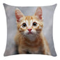 Cute Animal Decorative Pillowcase Super Soft Print Cushion Cover