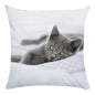 Cute Animal Decorative Pillowcase Super Soft Print Cushion Cover