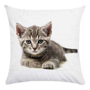 Cute Animal Decorative Pillowcase Super Soft Print Cushion Cover