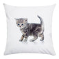 Cute Animal Decorative Pillowcase Super Soft Print Cushion Cover