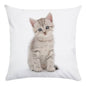 Cute Animal Decorative Pillowcase Super Soft Print Cushion Cover