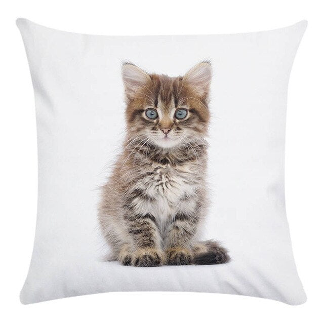 Cute Animal Decorative Pillowcase Super Soft Print Cushion Cover