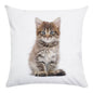 Cute Animal Decorative Pillowcase Super Soft Print Cushion Cover