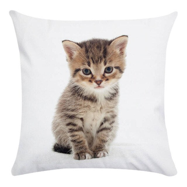 Cute Animal Decorative Pillowcase Super Soft Print Cushion Cover