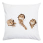 Cute Animal Decorative Pillowcase Super Soft Print Cushion Cover